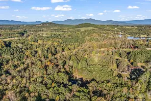 663 Landrum Rd, Columbus, NC 28722 - Photo 30