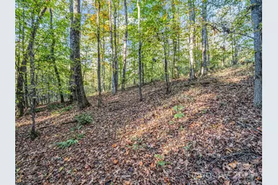 663 Landrum Road, Columbus, NC 28722 - Photo 28