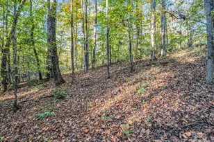 663 Landrum Rd, Columbus, NC 28722 - Photo 28