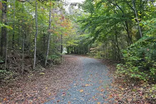 663 Landrum Rd, Columbus, NC 28722 - Photo 34