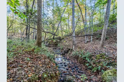 663 Landrum Road, Columbus, NC 28722 - Photo 24