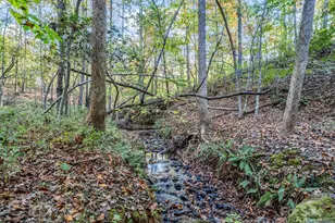 663 Landrum Rd, Columbus, NC 28722 - Photo 24