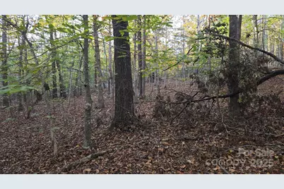 663 Landrum Road, Columbus, NC 28722 - Photo 36