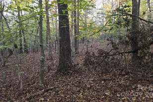 663 Landrum Rd, Columbus, NC 28722 - Photo 36