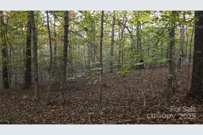 663 Landrum Road, Columbus, NC 28722 - Photo 40