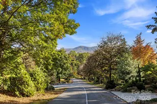 31 Ridge Dr S, Hendersonville, NC 28739 - Photo 40