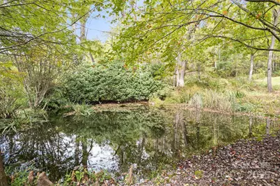 940 Haynes Cove, Clyde, NC 28721 - Photo 6