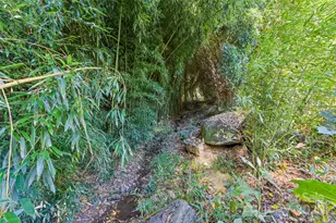 1807 Fisher Crk Rd, Sylva, NC 28779 - Photo 28