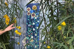 1600 Orchard Rd, Flat Rock, NC 28731 - Photo 32