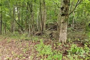 Lot 3 Mountain View Rd, Burnsville, NC 28714 - Photo 12