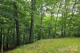 Lot 3 Mountain View Rd, Burnsville, NC 28714 - Photo 2