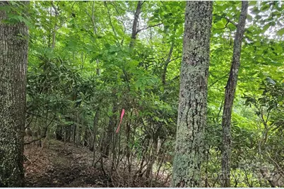 Lot 3 Mountain View Road, Burnsville, NC 28714 - Photo 4