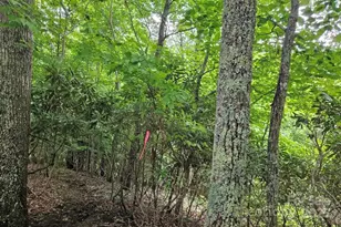 Lot 3 Mountain View Rd, Burnsville, NC 28714 - Photo 4