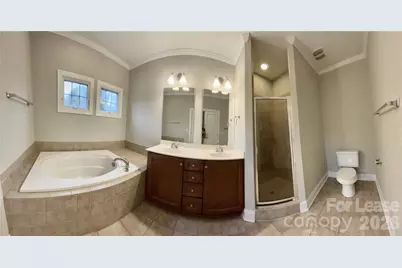 4670 Dabney Vigor Drive, Charlotte, NC 28209 - Photo 8