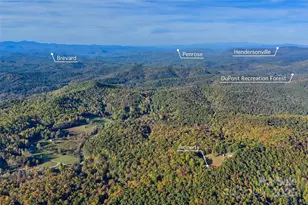 325 141 & 75 Owl Haven Ln, Cedar Mountain, NC 28718 - Photo 48