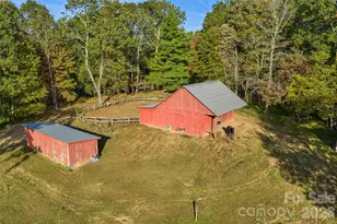 325 141 & 75 Owl Haven Ln, Cedar Mountain, NC 28718 - Photo 22