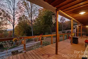 325 141 & 75 Owl Haven Ln, Cedar Mountain, NC 28718 - Photo 34