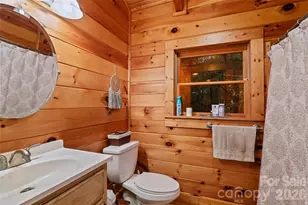 325 141 & 75 Owl Haven Ln, Cedar Mountain, NC 28718 - Photo 16