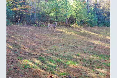 457 Dale Road, Spruce Pine, NC 28777 - Photo 26