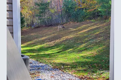 457 Dale Road, Spruce Pine, NC 28777 - Photo 28