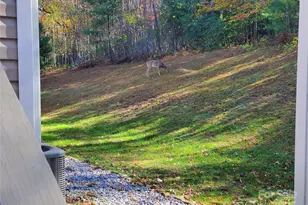 457 Dale Rd, Spruce Pine, NC 28777 - Photo 28