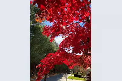 60 Park Avenue Street #60, Asheville, NC 28803 - Photo 10