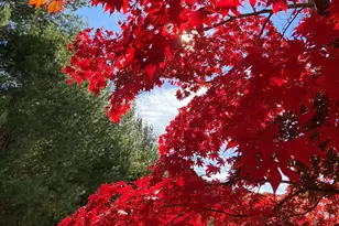 60 Park Ave St, Asheville, NC 28803 - Photo 10