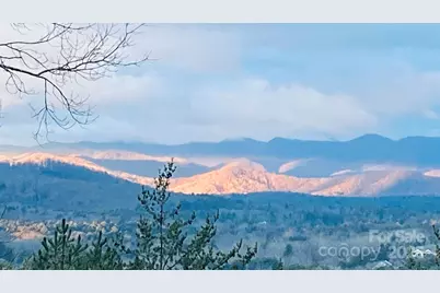 60 Park Avenue Street #60, Asheville, NC 28803 - Photo 6