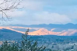 60 Park Ave St, Asheville, NC 28803 - Photo 6