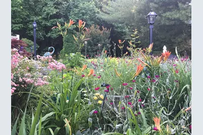 60 Park Avenue Street #60, Asheville, NC 28803 - Photo 8