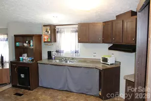 260 Buck Br Rd, Mill Spring, NC 28756 - Photo 16