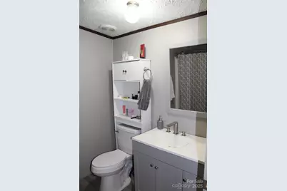 260 Buck Branch Road, Mill Spring, NC 28756 - Photo 24