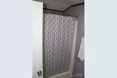 260 Buck Branch Road, Mill Spring, NC 28756 - Photo 26