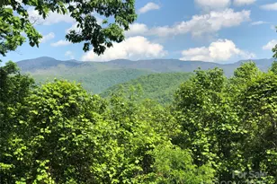 Lots 61 and 62 Wildwood Dr, Burnsville, NC 28714 - Photo 18