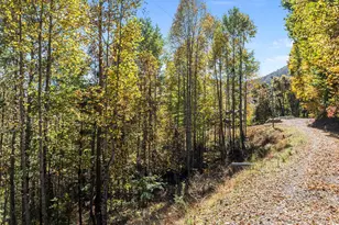 Lots 61 and 62 Wildwood Dr, Burnsville, NC 28714 - Photo 2