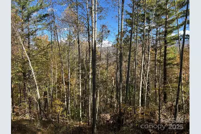 Lots 61 and  62 Wildwood Drive, Burnsville, NC 28714 - Photo 24