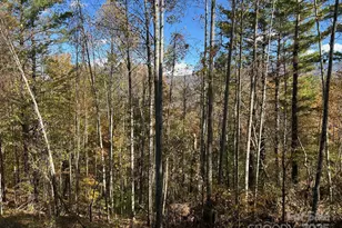 Lots 61 and 62 Wildwood Dr, Burnsville, NC 28714 - Photo 24