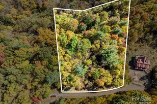 Lots 61 and 62 Wildwood Dr, Burnsville, NC 28714 - Photo 6