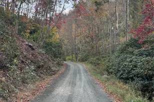 362 Melton Branch Rd, Bakersville, NC 28705 - Photo 30