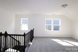 12109 Avienmore Dr, Charlotte, NC 28278 - Photo 6