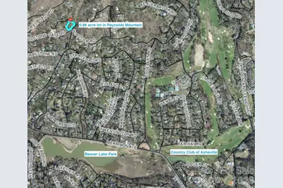 510 Sweetspire Ridge, Asheville, NC 28804 - Photo 4