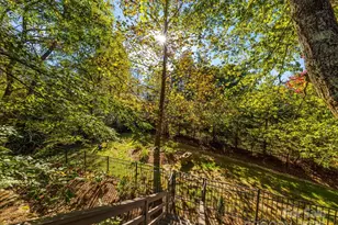 114 Linda Ann Dr, Flat Rock, NC 28731 - Photo 42