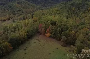 214 Old Dale Rd, Spruce Pine, NC 28777 - Photo 38