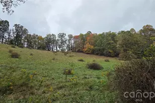 214 Old Dale Rd, Spruce Pine, NC 28777 - Photo 10