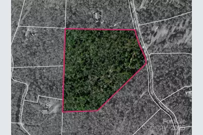 3314 Reserve Road, Pisgah Forest, NC 28768 - Photo 18