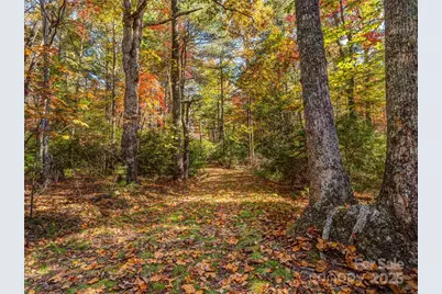 3314 Reserve Road, Pisgah Forest, NC 28768 - Photo 12