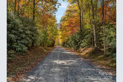 3314 Reserve Road, Pisgah Forest, NC 28768 - Photo 6