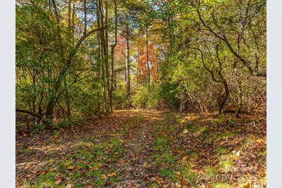 3314 Reserve Road, Pisgah Forest, NC 28768 - Photo 10