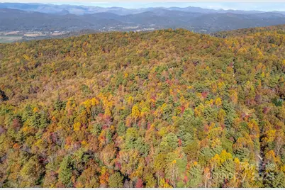 3314 Reserve Road, Pisgah Forest, NC 28768 - Photo 22