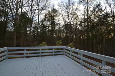 9024 McElroy Road, Waxhaw, NC 28173 - Photo 36